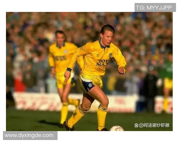 荷兰足球明星王子的传奇故事与辉煌成就揭秘