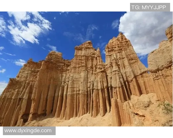 足球明星在云南邂逅爱情寻找心仪女友的浪漫旅程