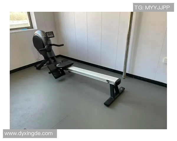 健身器材全解析从名称到图片一览无余助你选择最适合的健身工具