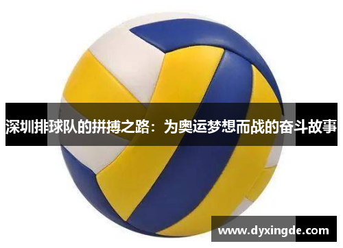 深圳排球队的拼搏之路：为奥运梦想而战的奋斗故事
