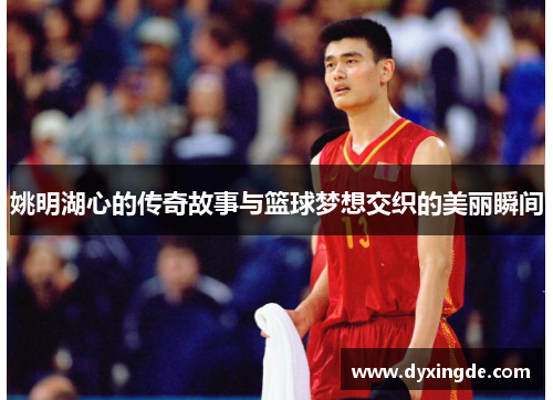 姚明湖心的传奇故事与篮球梦想交织的美丽瞬间